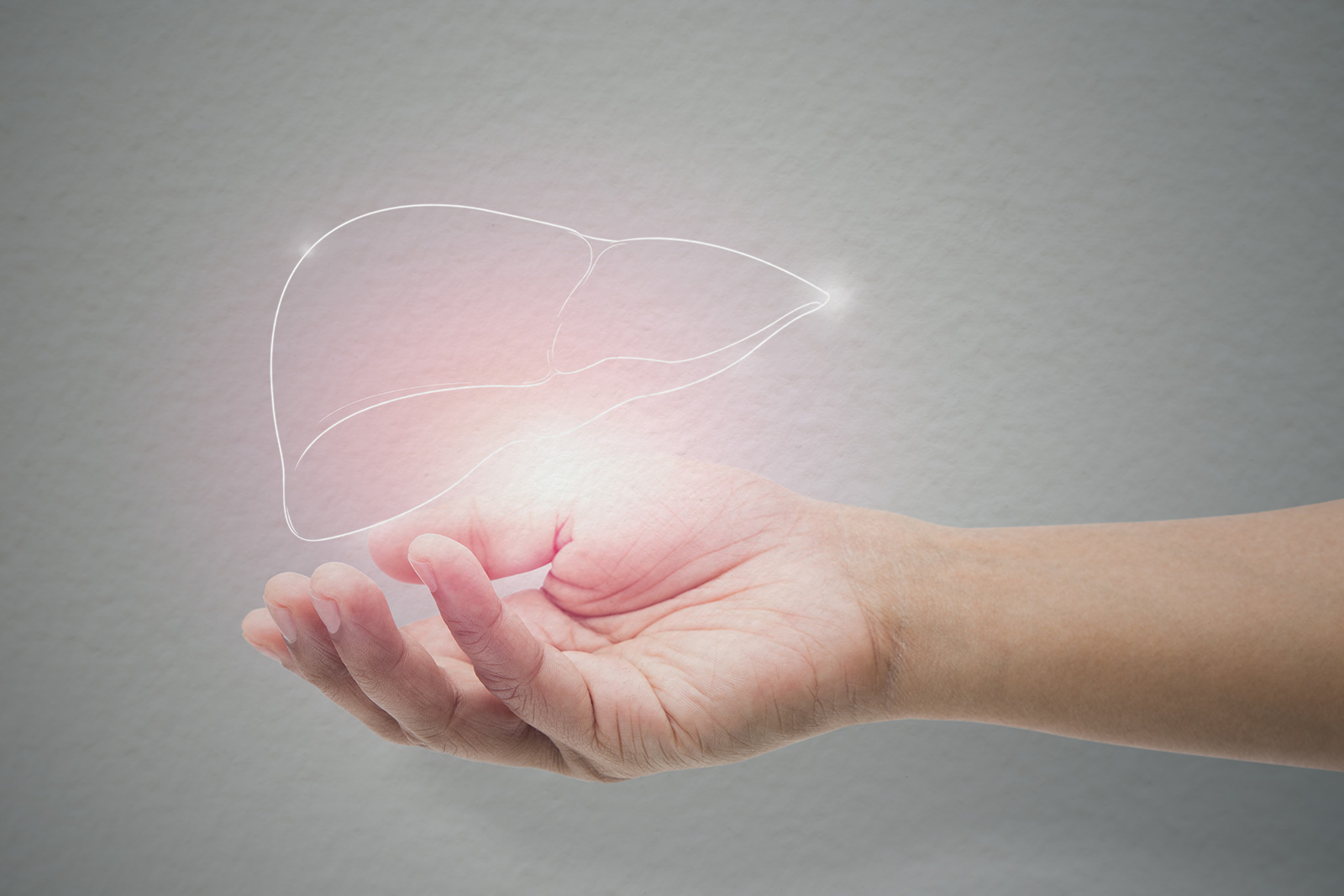 The Relationship Between CBD & Your Liver