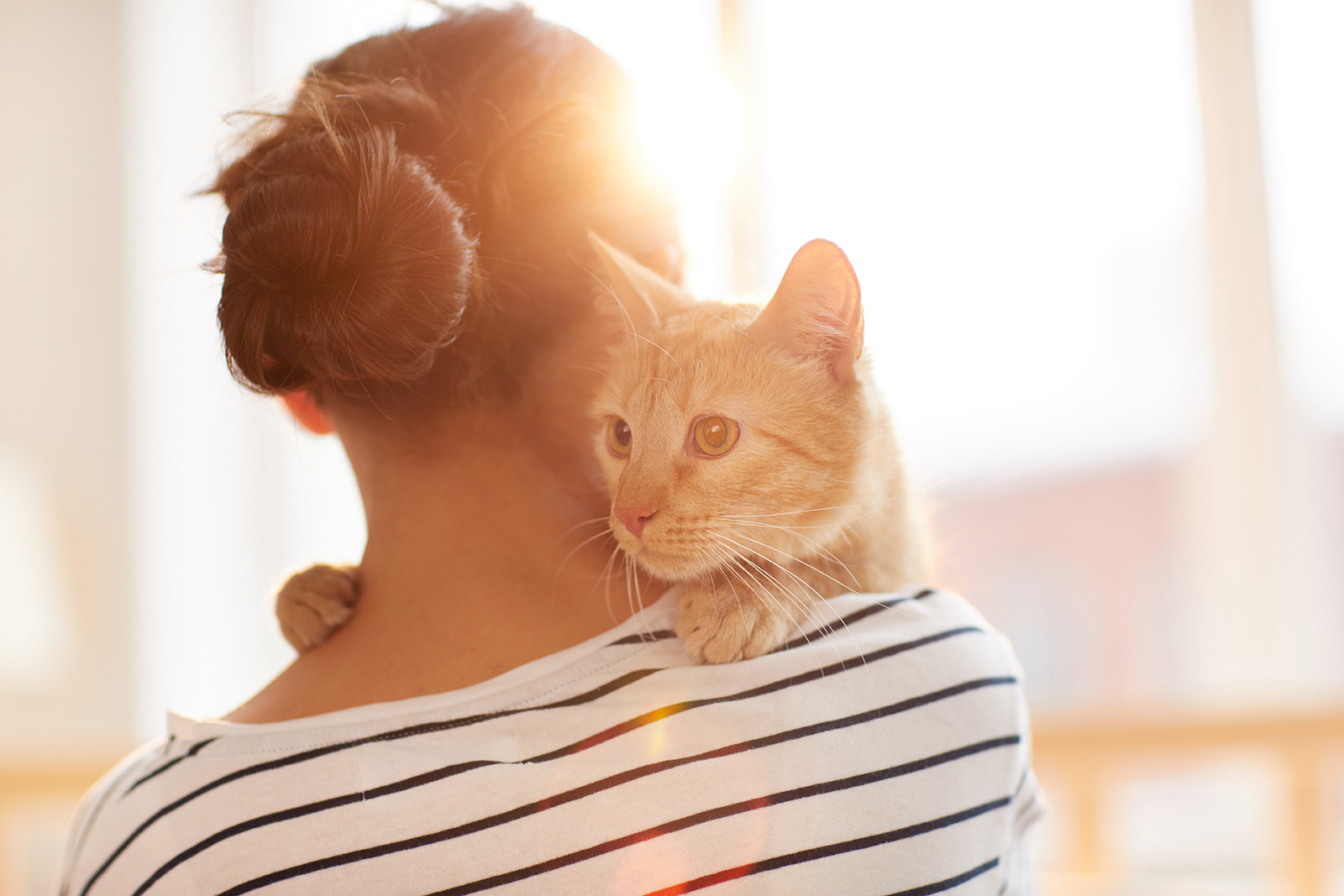 Cat Anxiety: A Guide to Helping Our Feline Friends