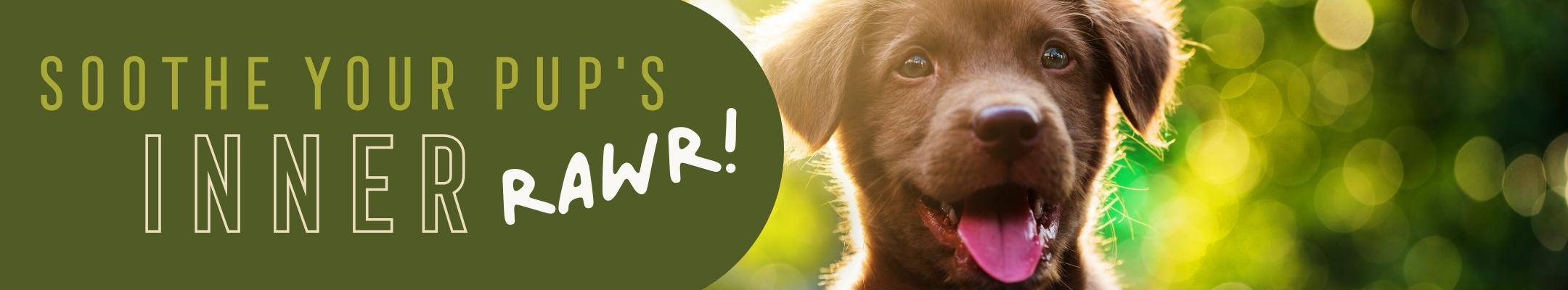 2023-03-16-Can-I-Give-My-Puppy-MIDGRAPHIC