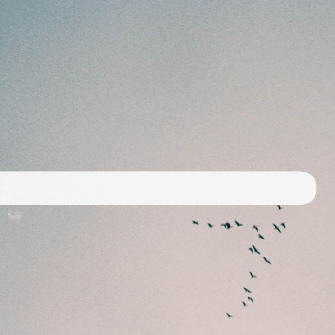 Why the Energy Behind Products Truly Matters for Your Wellness