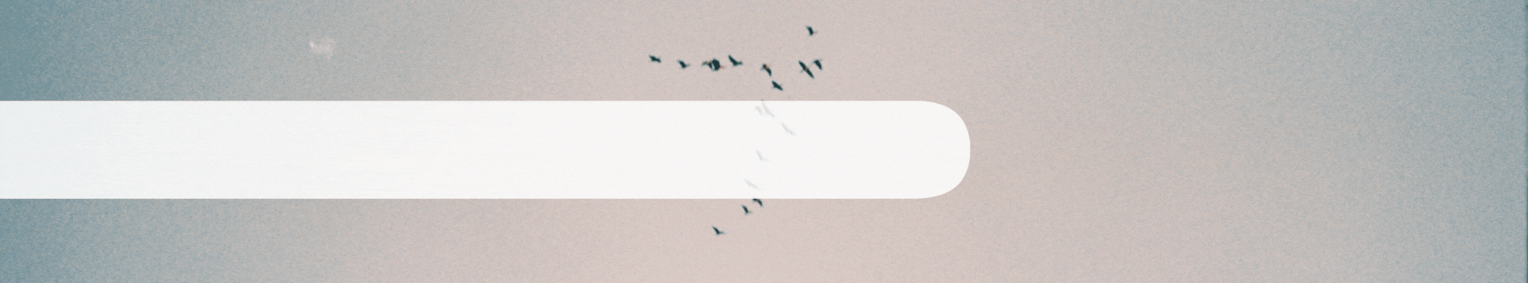 2024-12-05-CBD for Holiday Stress_ A Calming Companion (Instagram Post)